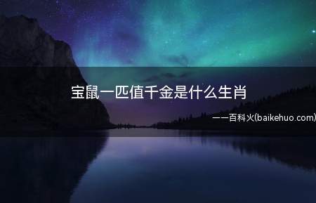 宝鼠一匹值千金是什么生肖