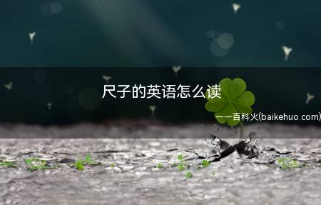 尺子的英语怎么读(尺子的英语怎么读解答)