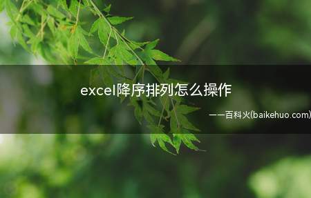 excel降序排列怎么操作(excel降序排列的操作方法)