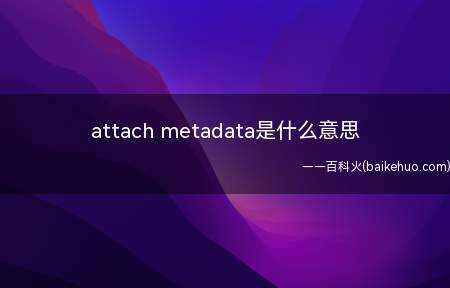 attach metadata是什么意思
