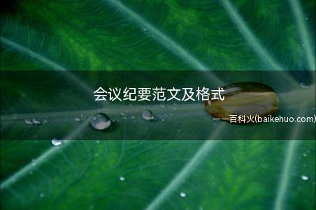 会议纪要范文及格式(会议纪要范文及格式是什么)