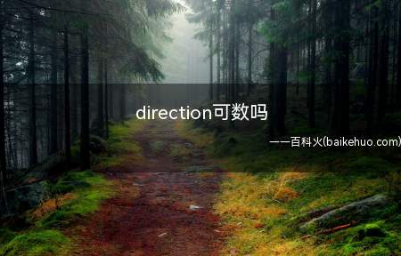 direction可数吗(Whatdoyouhavetodowithinthosesy)