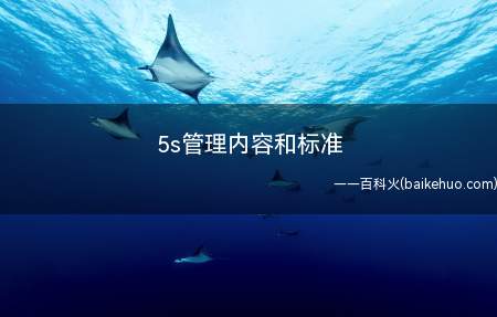 5s管理内容和标准(5s管理内容和标准是什么)