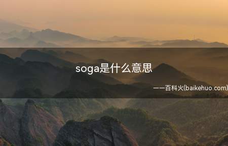 soga是什么意思(拓展:什么是网络流行语)
