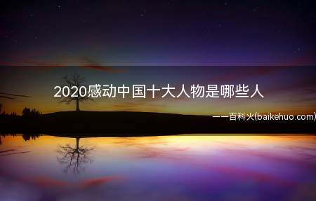 2020感动中国十大人物是哪些人