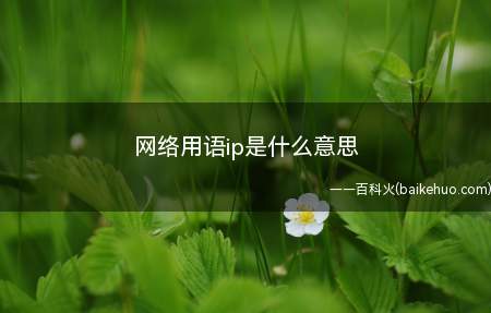 网络用语ip是什么意思(网络用语中的ip是知识产权、知识财产的意思)