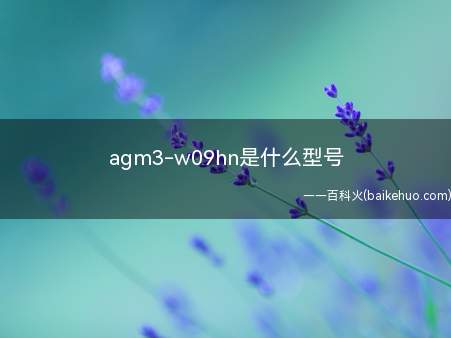 agm3-w09hn是什么型号(【荣耀平板7】价格_厂家)