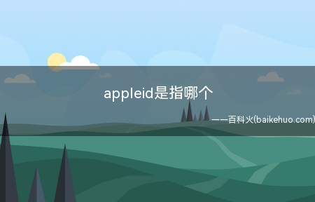 appleid是指哪个（iOS14）