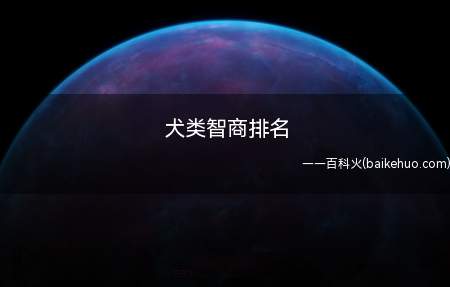 犬类智商排名(犬类智商排名,我们一起来看看吧!)