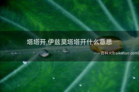 塔塔开,伊兹莫塔塔开什么意思(塔塔开,伊兹莫塔开什么意思)