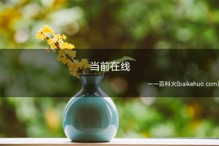 当前在线(演示机型:Iphone 13)