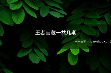 王者宝藏一共几期(王者宝藏一共几期我们一起了解一下吧!)
