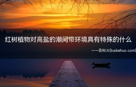 红树植物对高盐的潮间带环境具有特殊的什么
