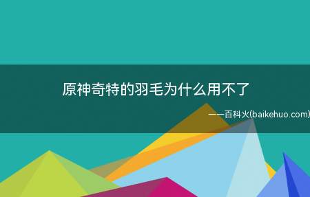 原神奇特的羽毛为什么用不了
