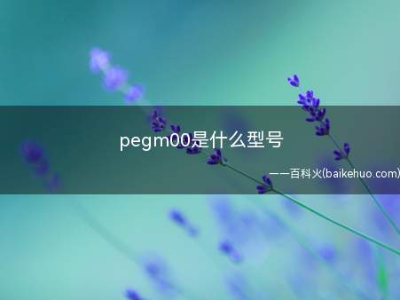 pegm00是什么型号（AI焕采视频美颜、AI视频增强和视频超级防抖3）