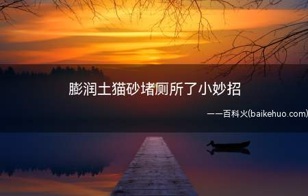膨润土猫砂堵厕所了小妙招