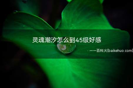 灵魂潮汐怎么到45级好感