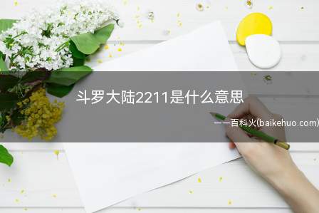 斗罗大陆2211是什么意思