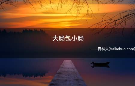 大肠包小肠是什么梗
