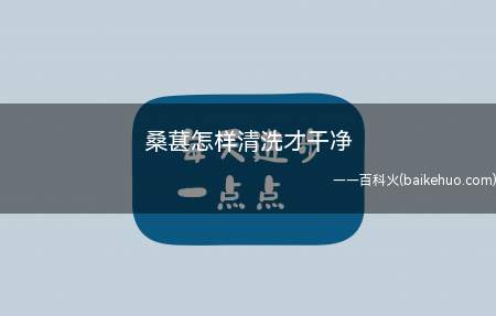 桑葚怎样清洗才干净
