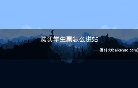 购买学生票怎么进站