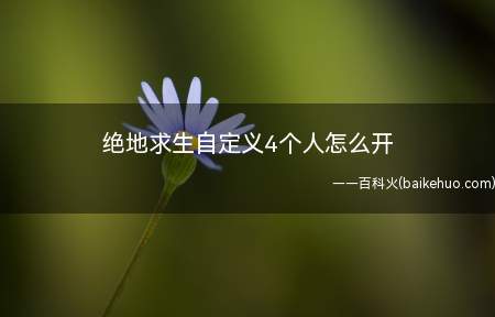 绝地求生自定义4个人怎么开
