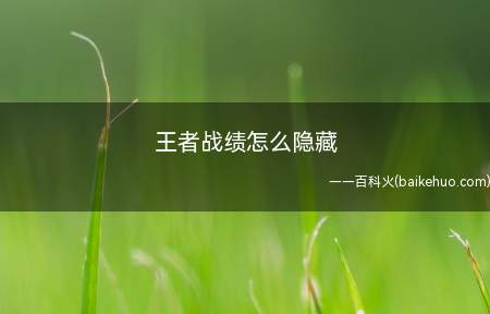 王者战绩怎么隐藏(王者荣耀战绩怎么隐藏)
