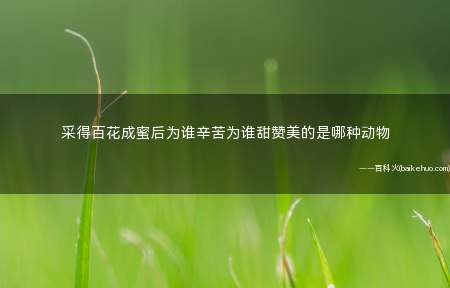 采得百花成蜜后为谁辛苦为谁甜赞美的是哪种动物