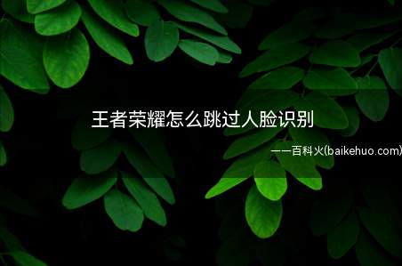王者荣耀怎么跳过人脸识别