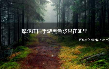 摩尔庄园手游黑色浆果在哪里