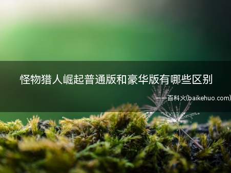 怪物猎人崛起普通版和豪华版有哪些区别