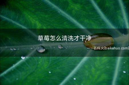 草莓怎么清洗才干净(怎样清洗草莓的时候比较简单的方法)