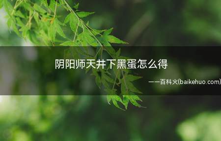阴阳师天井下黑蛋怎么得