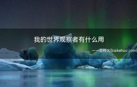 我的世界观察者有什么用