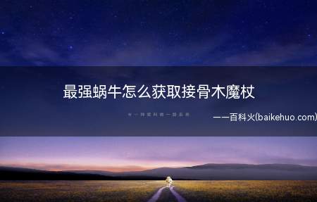 最强蜗牛怎么获取接骨木魔杖