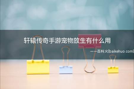 轩辕传奇手游宠物放生有什么用