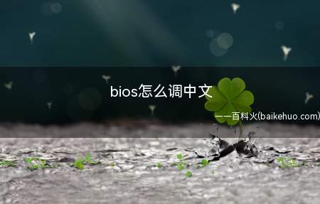 bios怎么调中文(SystemLanguage开机后进入BIOS)