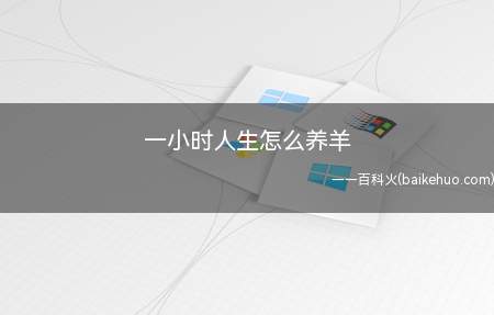 一小时人生怎么养羊(一小时人生怎么养羊 养羊方法)