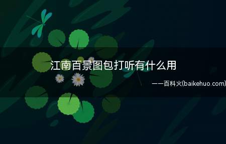 江南百景图包打听有什么用