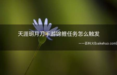 天涯明月刀手游锦鲤任务怎么触发