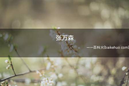 张万森是什么梗