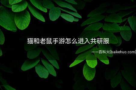 猫和老鼠手游怎么进入共研服