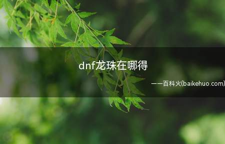 dnf龙珠在哪得