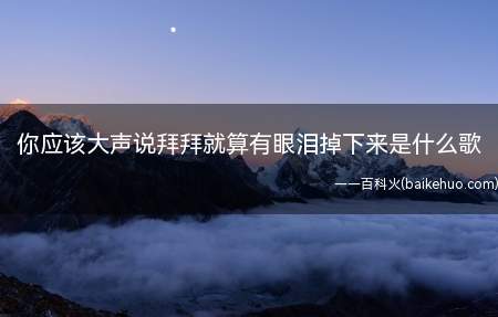 你应该大声说拜拜就算有眼泪掉下来是什么歌