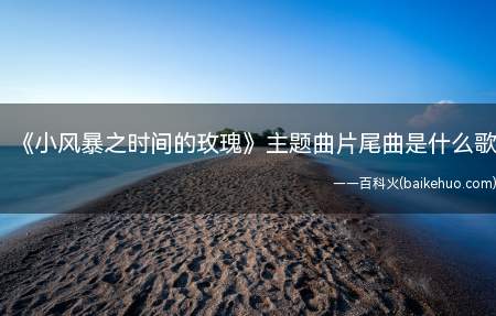 《小风暴之时间的玫瑰》主题曲片尾曲是什么歌