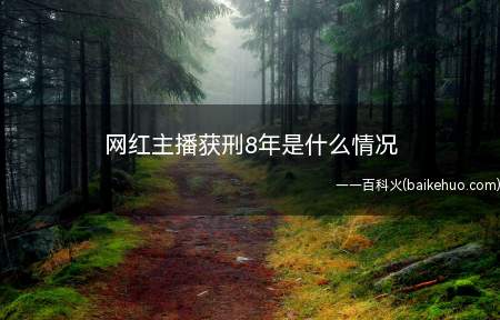 网红主播获刑8年是什么情况(网红主播获刑8年是怎么回事)