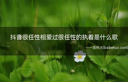 抖音很任性相爱过很任性的执着是什么歌（《很任性》完整版歌词在线听歌）