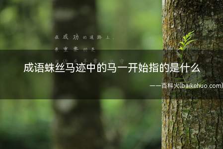 成语蛛丝马迹中的马一开始指的是什么（成语蛛丝马迹中的马一开始指的是什么答案）
