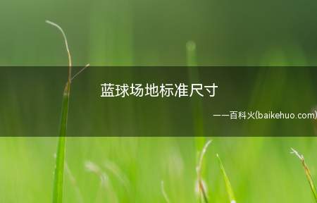 蓝球场地标准尺寸(蓝球场地标准尺寸是多少)
