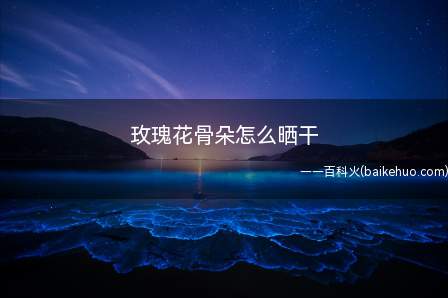 玫瑰花骨朵怎么晒干